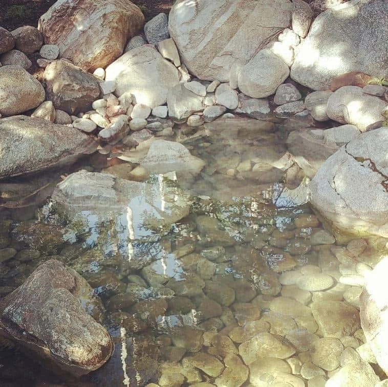 water-scape